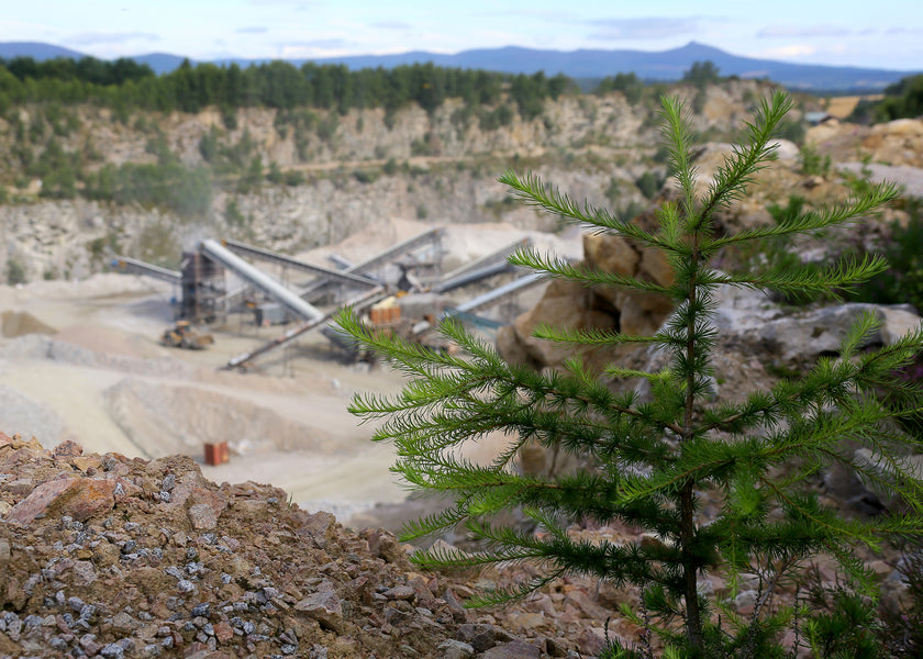 The Impact Of Quarrying On The Environment: How Can This Become More Sustainable?